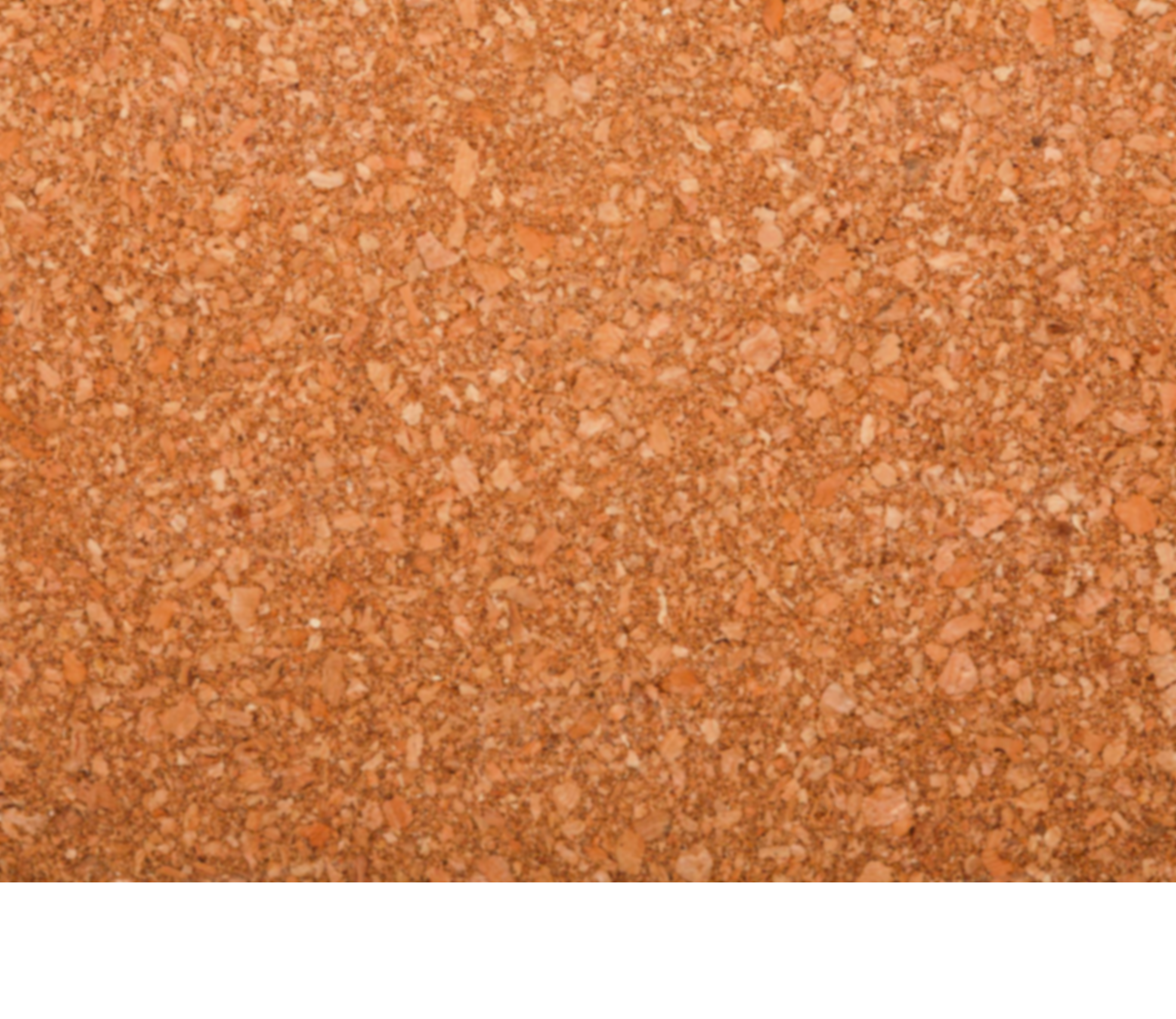 Corkboard