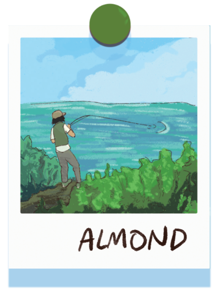 Photo of Almond